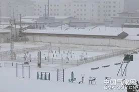 西藏那曲：中到大雪影响交通图片