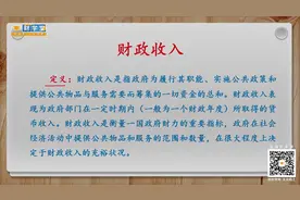 什么是财政收入？