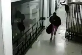 国外整蛊：遇到发狂的大猩猩，亡命逃跑视频封面