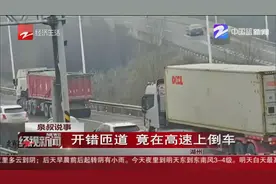 练杭高速：货车司机不熟悉路况走错匝道，竟在应急车道上倒车视频封面