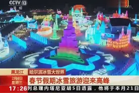 哈尔滨冰雪大世界迎来春节客流高峰视频封面