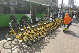“小黄车”正式入驻青岛 扫码时千万要注意这些图片