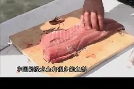 老司机教你如何处理大鱼，让它更加便于烹饪