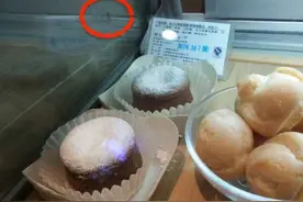 惊！西树泡芙的冷藏柜里居然钻出个活蟑螂图片