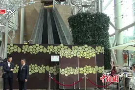 香港调查扶手电梯意外 或因牵引系统组件故障导致图片