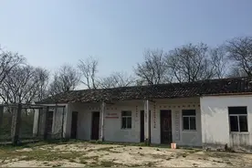 暖闻｜江西七旬候鸟医生：为每一只病鸟写病历，救治超5万只图片