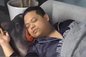 数数几个梗？肥哥被打几次？@启维 @安东肥