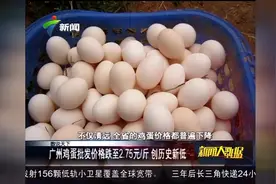 广州：鸡蛋批发价格跌至历史新低