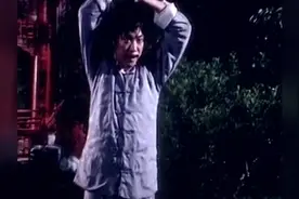 日本最阴毒的间谍王希文，终于被陈真送去见鬼了！太好了！