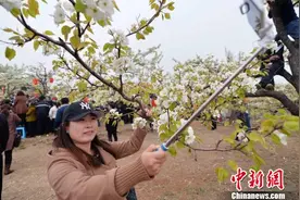 又到漫山遍野花海时：“深呼吸小城”里的百姓故事图片