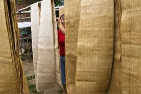 重庆特产传说②｜荣昌夏布:纺织品的活化石图片