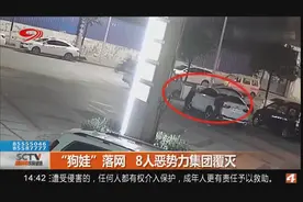 “狗娃”落网，8人恶势力集团被一锅端！当地百姓无不拍手称快！视频封面