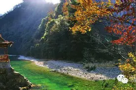 康县版《南山南》，我把美丽乡村唱给你听图片