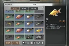 明日之后锦鲤在哪钓几率高，钓锦鲤位置！