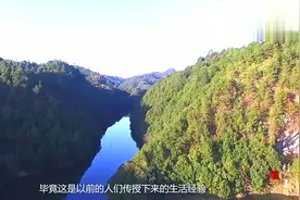 农村俗语：“再穷不耕丈人田，再饿不进萝卜园，这话值得深思