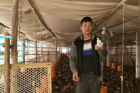 这种奇怪的灯见过吗？停电就会自己动亮，农村小伙花了10块钱买的