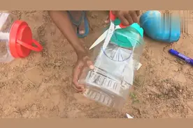 用这样的方法野外抓小鸡效果还不错，看看小哥是怎么让它们入套的