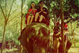 网络媒体走转改：境外旅游成春节新年味图片