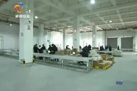 2019年武汉跨境电商发展峰会举行视频封面
