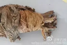 福建九地市过年最下饭家常菜 满满都是家乡的味道！龙岩、三明、南平篇图片