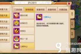 搞趣网：梦幻西游手游论法宠宝宝一系列问题 老司机要开车了图片