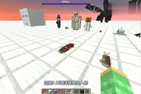 我的世界：所有生物全图鉴！这么多版本更新，你错过了太多！视频封面