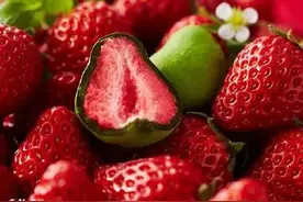 抹茶控去日本，一定要吃这9种美食！图片