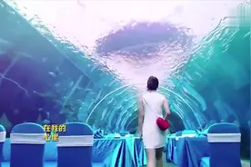 《神犬小七第二季》MV “洋七”演绎《今生感谢你》