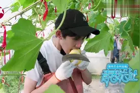 王源以为菊瓜是水果，摘下来就是啃一口，后悔的小表情亮了！