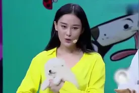 刘昊然说自己的爱犬摩萨耶叫“小萨”何炅：撒老师，我爱你