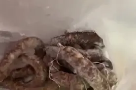 过年回家父母都让你带了啥，这位母亲竟把活鸡放在后备箱视频封面