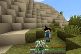 我的世界七龙珠ep.1怎么打啊