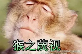 猴年最全逗逼猴表情包系列！没它你的猴年咋过？图片