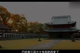 日本寺庙惊现蛟龙标本！竟还是从中国偷运过去的！