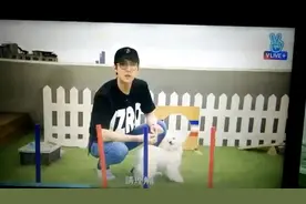 吴世勋和vivi 好多发的你们看不到 可以进我主页看哦