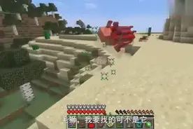我的世界虚无世界60：沙漠甲壳真稀有，刷了一晚上野怪才获得一个