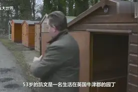 神人！帕萨特改房车，既可合法上路，时速还能飙到155公里视频封面