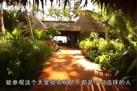 世界上4个最别具一格的游泳池, 看完涨知识了