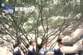 这个学校火了：全国首个天猫校园店落户新零售进入高校市场！