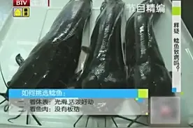 吃鲶鱼会致病？这个说法是真的吗？食材健康吃，分享鱼肉小常识