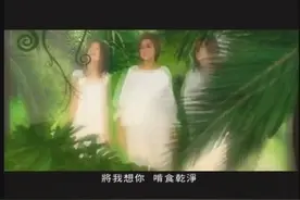 S.H.E-热带雨林