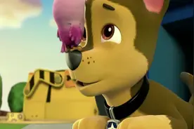 汪汪队：阿奇被夸很害羞，这项技能真的很厉害，他会讲猫头鹰话