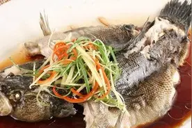 地下河里养出来的鲜美鱼的滋味堪比鲈鱼呢