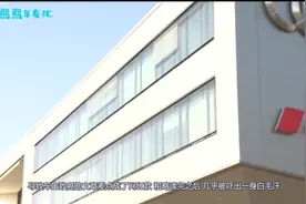 奥迪“致癌门”：20斤沥青的罪与锅！网友：奔驰就有过类似事件啊