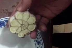 秒剥大蒜有诀窍，手上还不会沾上大蒜味！