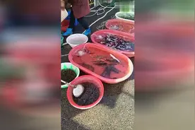 无锡太湖边比较有名的一个水产市场，早市卖大鱼大虾