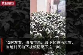 今日春分，洛阳这个地方却下起鹅毛大雪！