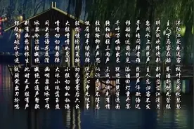 同是天涯沦落人，相逢何必曾相识 白居易 琵琶行