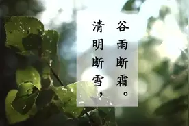 儒学快讯：谷雨时节 杨花落尽子规啼