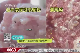 如何区分脂肪颗粒与“痘猪肉”？食用“痘猪肉”会影响健康吗？